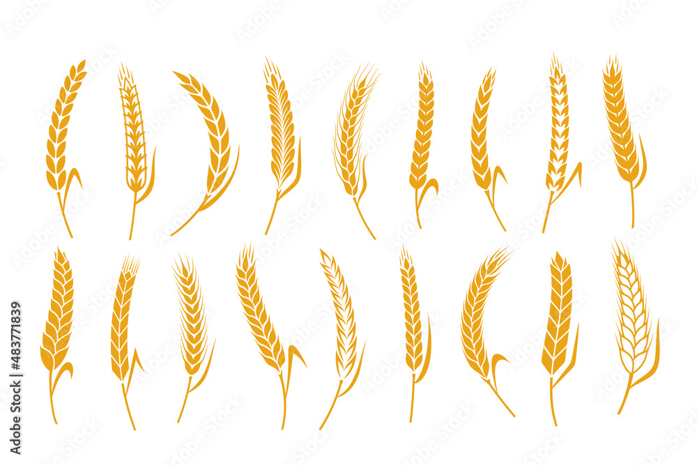 Vector cereal crops icons. Wheat, oat, rye and barley symbols Vector cereal crops icons. Wheat, oat, rye and barley symbols