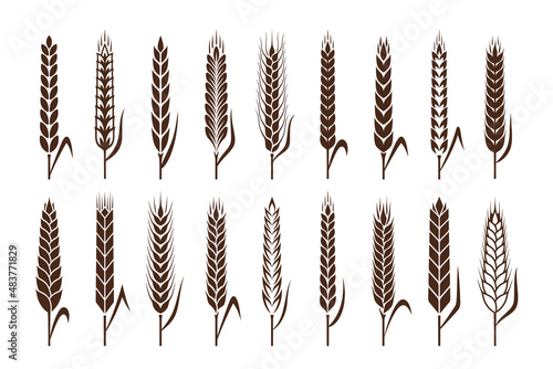 Vector cereal crops icons. Wheat, oat, rye and barley symbols