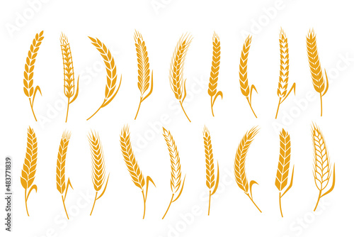 Vector cereal crops icons. Wheat, oat, rye and barley symbols