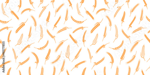 Vector cereal crops seamless pattern. Wheat, oat, rye and barley ears. Bakery or bread seamless background