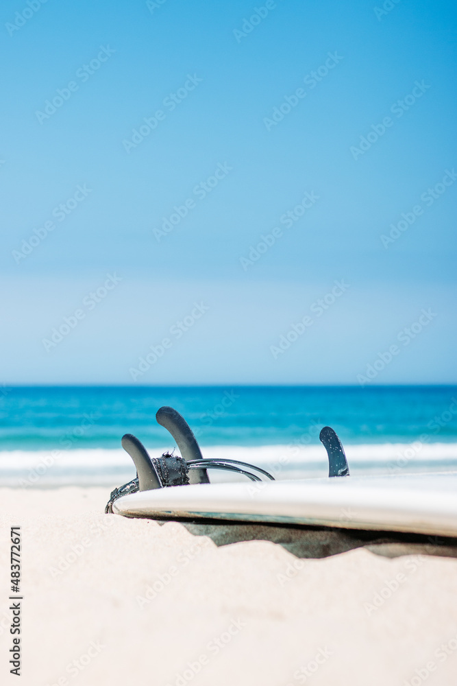 Obraz premium Surfboard with fins on sand at beach