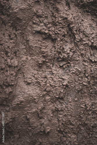 Mud ground texture