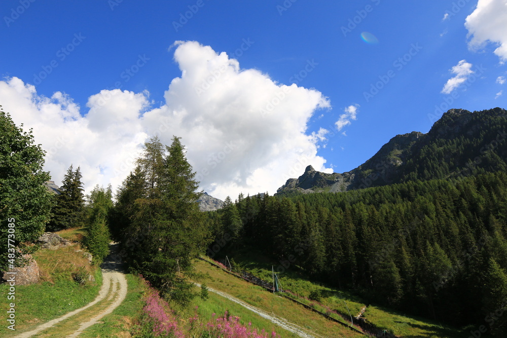 Champoluc Champoluc