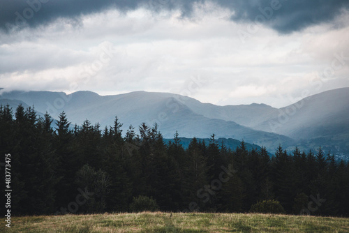Mountains and forest with stormy sky