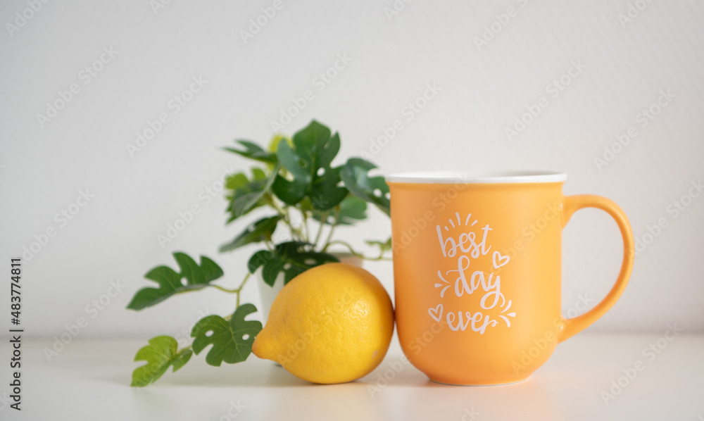 Tasse Tasse