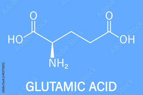 Glutamic acid or l-glutamic acid, Glu, E, amino acid and neurotransmitter molecule. Skeletal formula. photo
