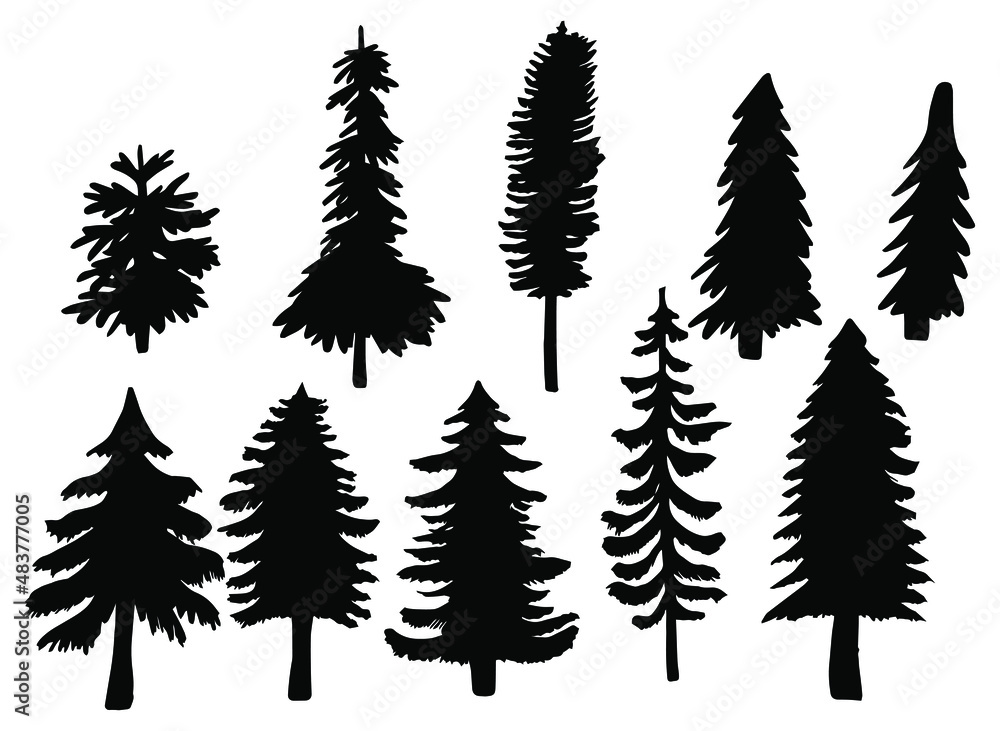 Fototapeta premium illustration with ten fir silhouettes isolated on white background
