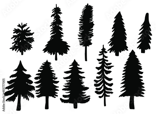 illustration with ten fir silhouettes isolated on white background