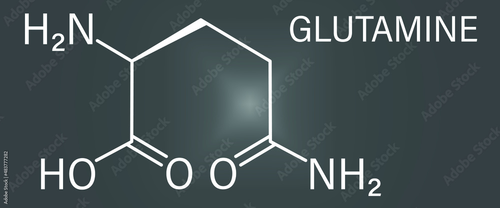 Glutamine or l-glutamine, Gln, Q amino acid molecule. Skeletal formula. Glutamine or l-glutamine, Gln, Q amino acid molecule. Skeletal formula.