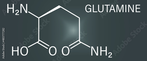 Glutamine or l-glutamine, Gln, Q amino acid molecule. Skeletal formula. photo