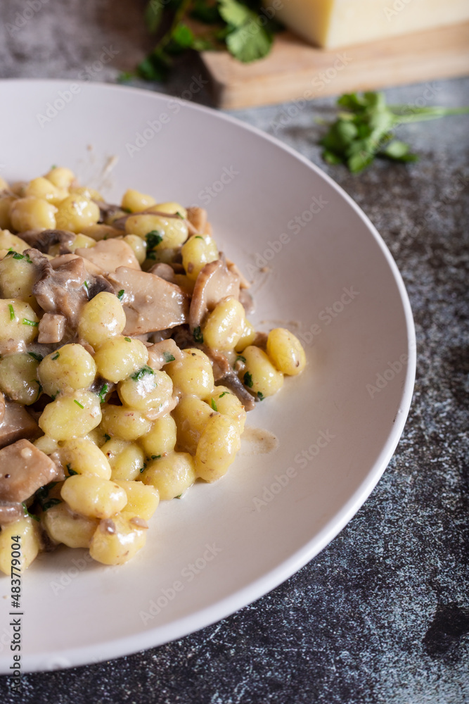 Creamy porcini mushroom gnocchi. Typical dish of Italian cuisine, suitable for a vegetarian diet Creamy porcini mushroom gnocchi. Typical dish of Italian cuisine, suitable for a vegetarian diet