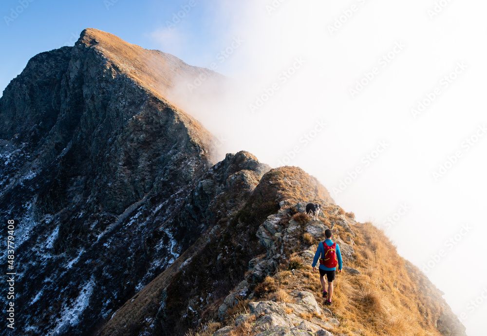 trekking with dog in the Italian alps trekking with dog in the Italian alps