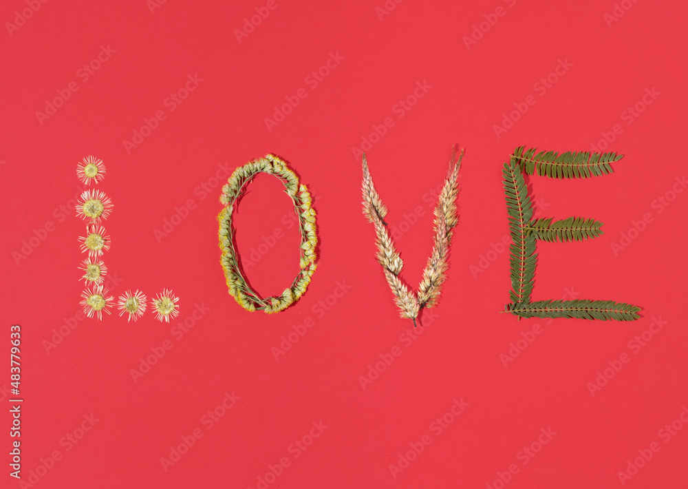 Word LOVE made of dried flowers and leafs. Flat lay horizontal composition on pastel red background, minimal romantic Valentines or International Women's day vintage concept