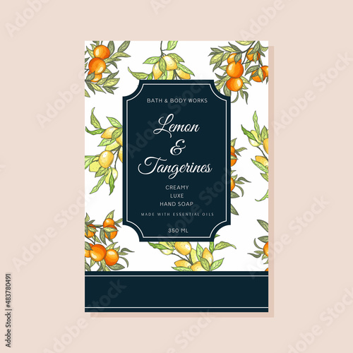 Tangerines and lemons packaging design