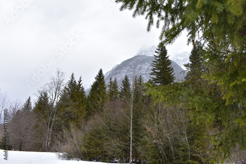 Fototapeta Naklejka Na Ścianę i Meble -  Wald-Winter-Alpen