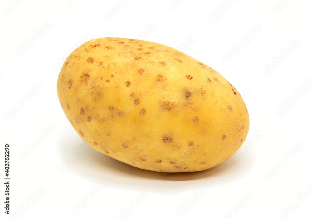 A closeup of one whole ripe potato on white background. A closeup of one whole ripe potato on white background.