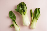 Chinese cabbage pak choi on light pink surface, top view