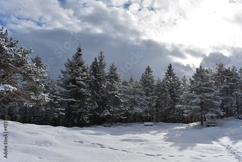 Alpen-Wälder-Winter © Alexander