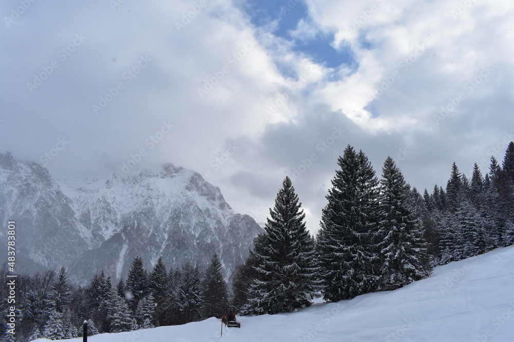 Alpen-Wälder-Winter