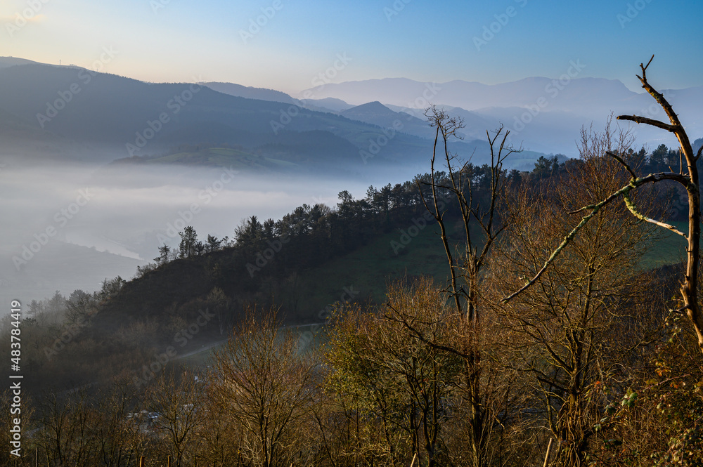 Monte Igeldo, Orio, Spain,  Landscape with fog among the distant mountains one morning at dawn, in front the dry branches of the trees on a winter morning.