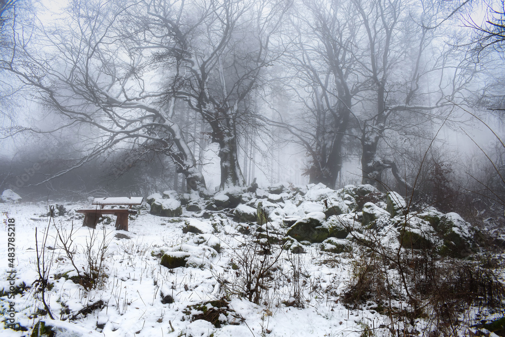 Fototapeta premium Winter
