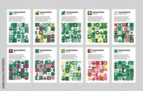 Brochure with microgreen set cards geometry on white background for print design. Vector banner template. Graphic illustration