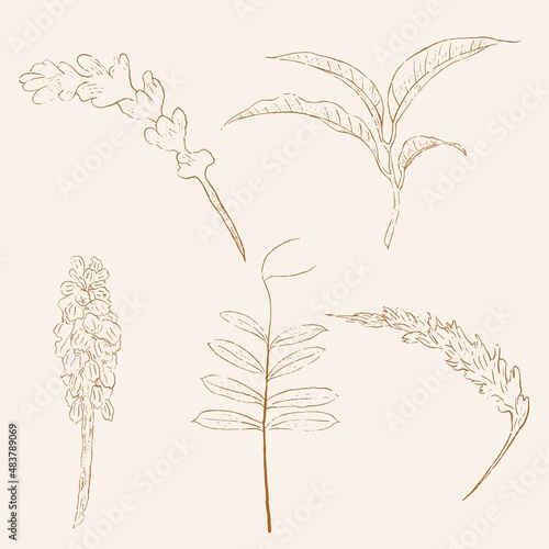 modern line art hand drawn illustration vector