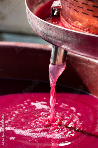 making of red wine  by winepress