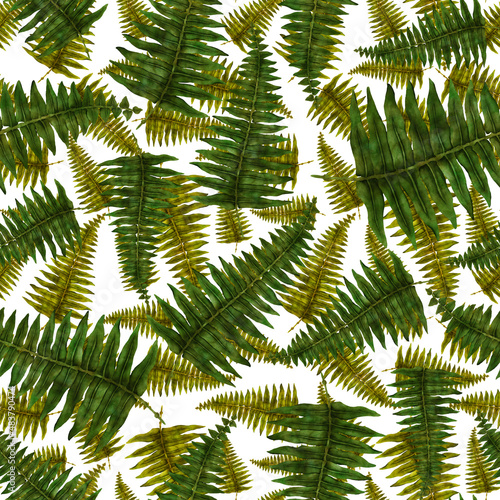 Watercolor seamless pattern with fern leaves. Foliage decoration. Vintage botanical exotic illustration wallpaper.