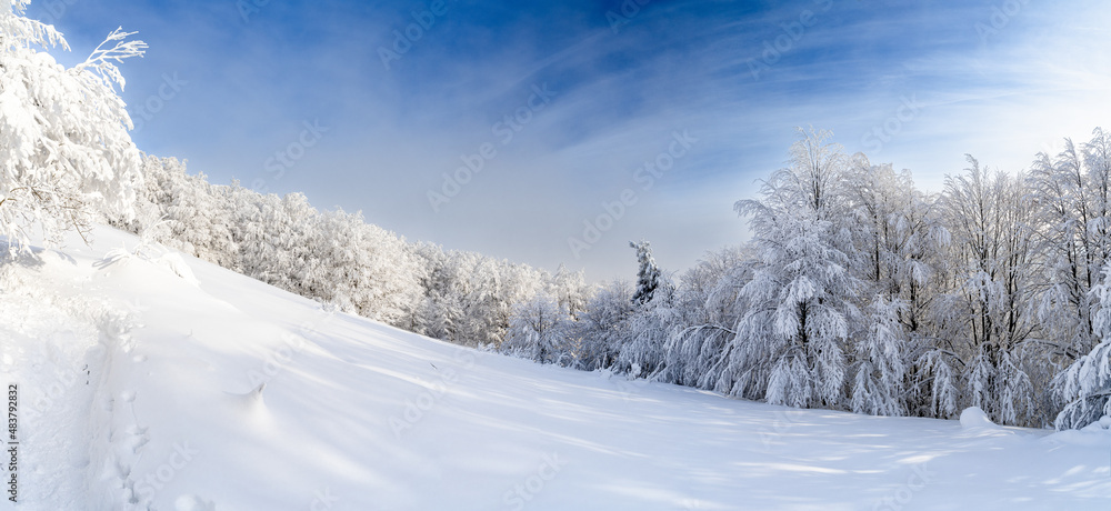 Bieszczady, Polska , połonina , góry, Karpaty Bieszczady, Polska , połonina , góry, Karpaty