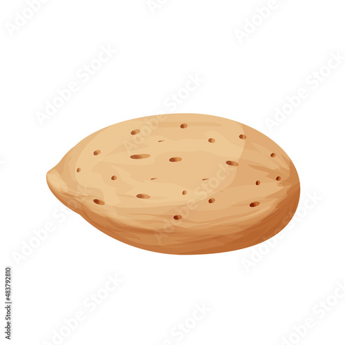 Almond in nutshell detailed raw nut, organic product, ingredient in cartoon style isolated on white background. Ripe plant, snack.