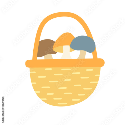 Mushrooms in basket - vector isolated illustration. Picking harvest. October activity. Autumnal seasonal composition in cartoon style.