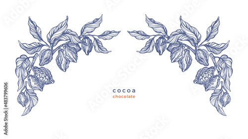 Cocoa texture border. Ornament of fruit, branch