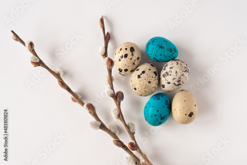 willow branches and painted quail eggs on a light background. Easter background