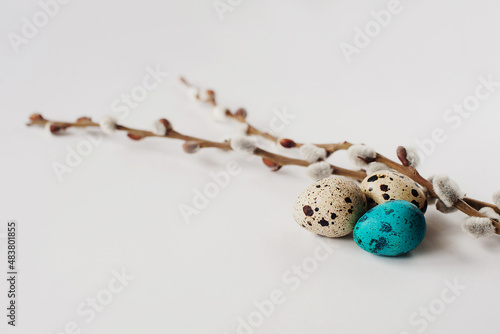 willow branches and painted quail eggs on a light background. Easter background