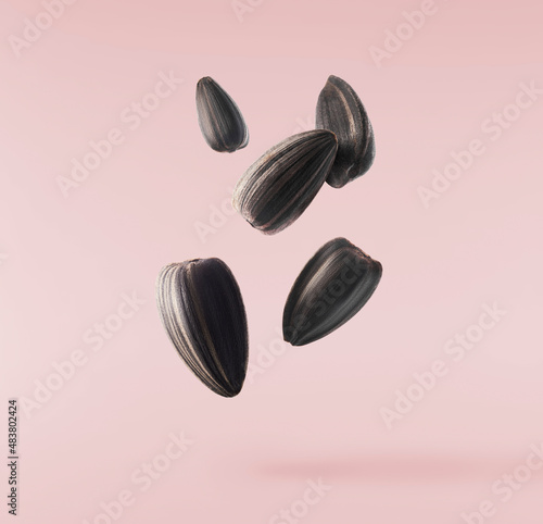 Fresh sunflower seeds falling in the air isolated on pink background.
