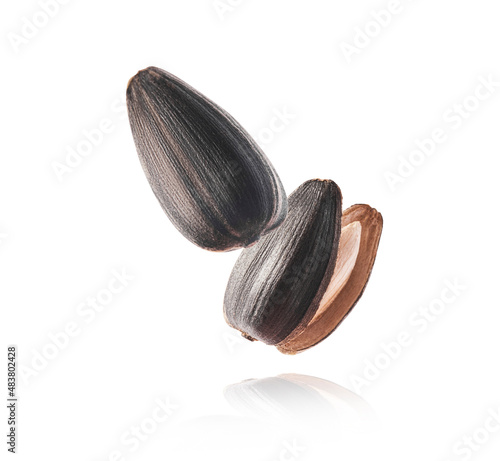 Fresh sunflower seeds falling in the air isolated on white background. Food levitation concept