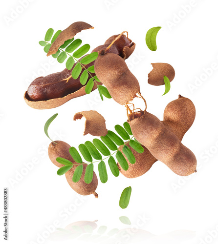 Fresh ripe tamarind fruit falling in the air photo