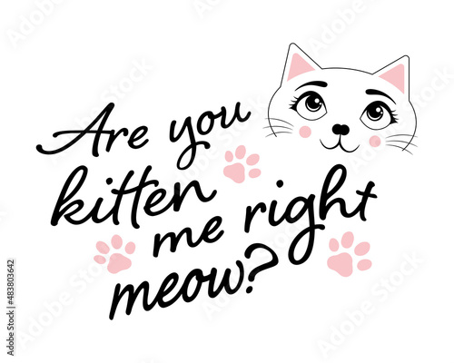 Are you kitten me right meow? Cat with paw icons and text on a white background. © Martin Rettenberger