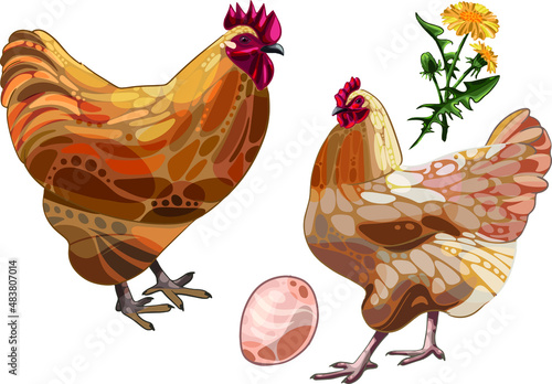 Set of hand-drawn rooster and a chicken The breed of buff orpingtons A small dandelion and an egg photo