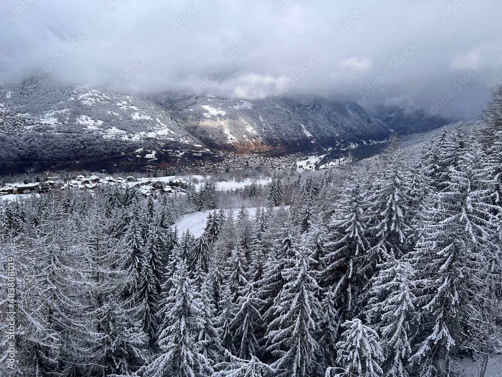 snow covered trees in winter