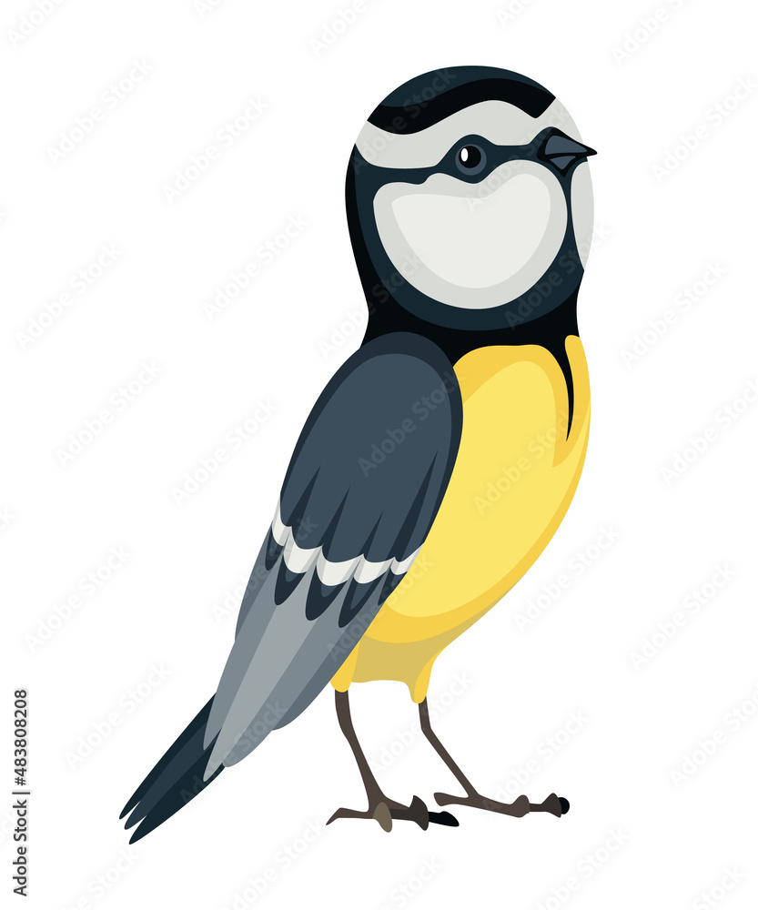 Fototapeta premium Tit bird in standing position. Titmouse in cartoon flat style beautiful character. Vector illustration isolated on white background