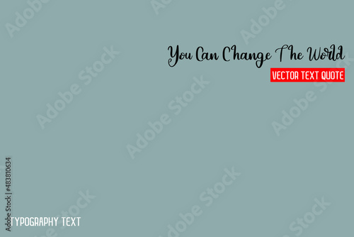 You Can Change The World Stylish Hand Written Typography Text on Grey Background