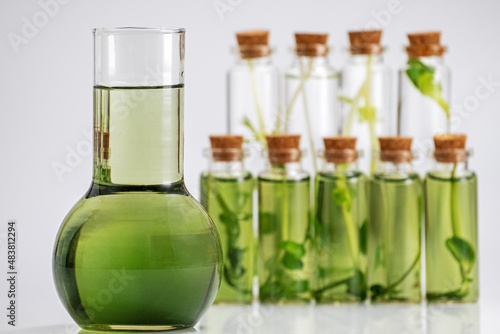 Wallpaper Mural Microgreens. Test tubes with micro greens and reagent. Growing fresh plants culture in laboratory. Selection of sprouts for research. Super food production. Chlorophyll extract is poured in pure water Torontodigital.ca