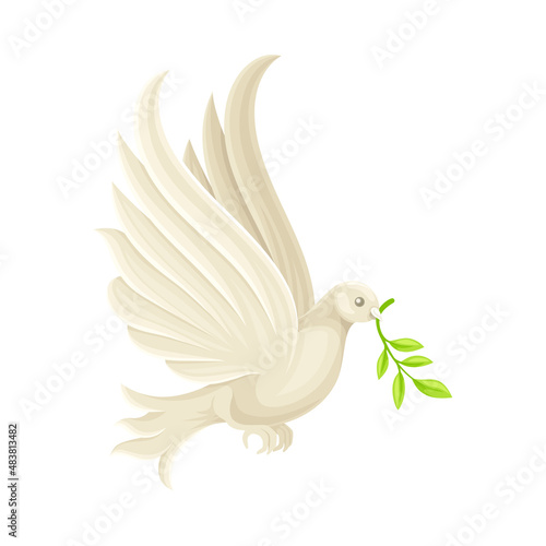 Peace dove with olive branch. White pigeon flying with green twig in its beak vector illustration