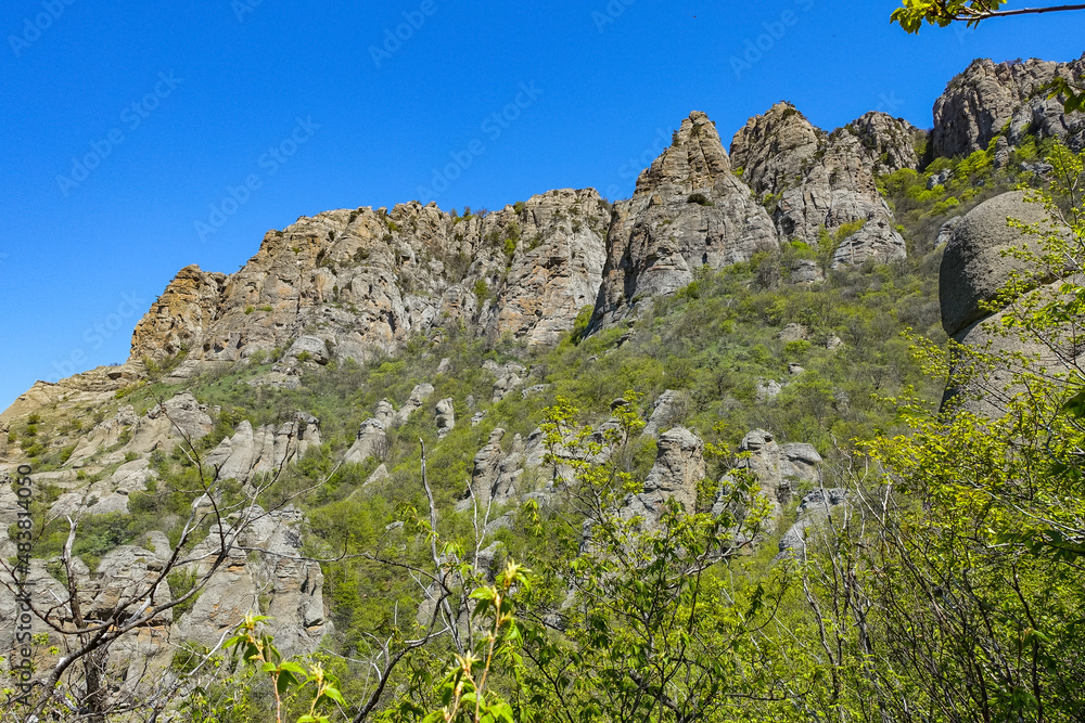 The Valley of Ghosts. Demerji. Green trees and bushes in the foreground. May 2021. Crimea. The Valley of Ghosts. Demerji. Green trees and bushes in the foreground. May 2021. Crimea.