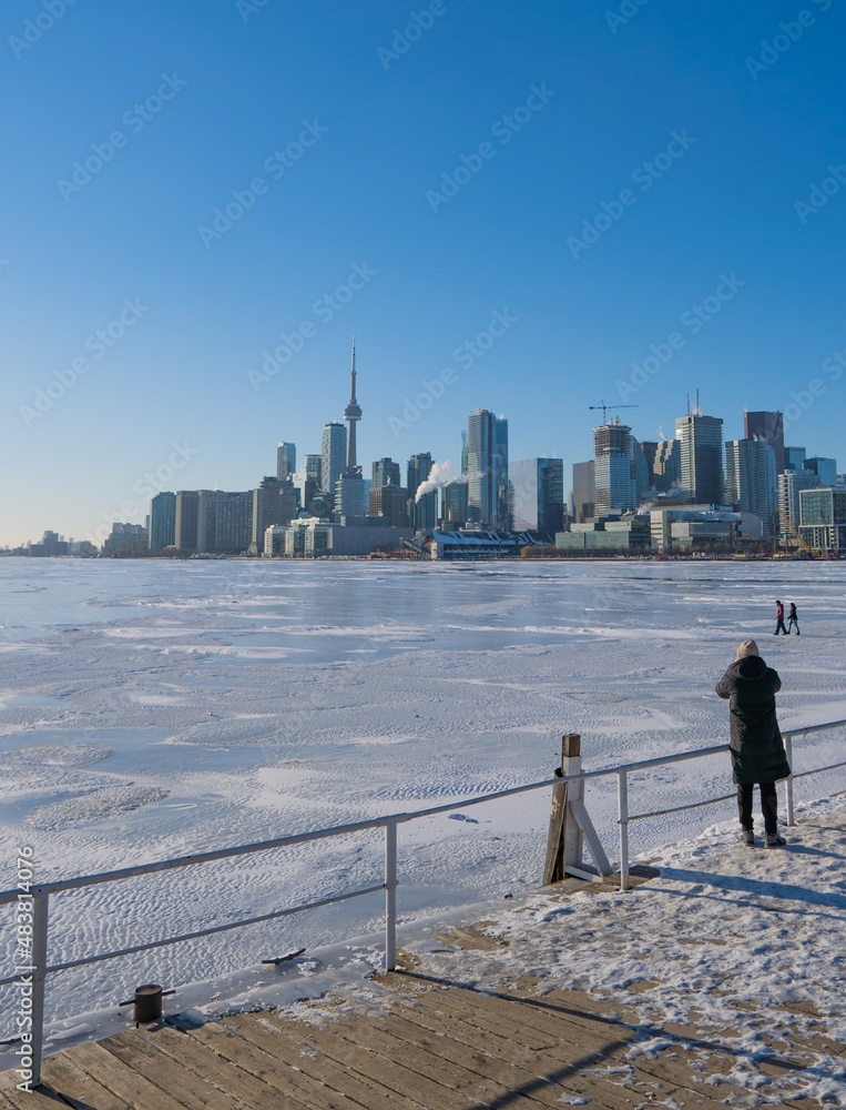 city skyline by the lake in the winter