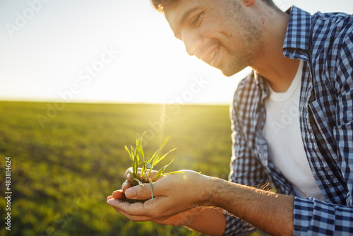 Young agronomist checks the quality of the new crop and happy with the results. Farmer examines the growth progress of the green wheat sprouts. Healthy food and farming concept. photo