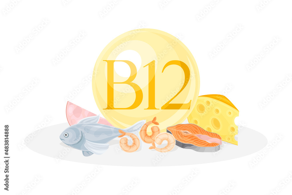 Sources of vitamin B12. Salmon fish, shrimp, cheese, meat healthy