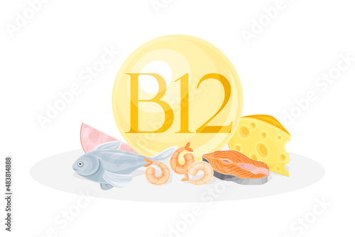 Sources of vitamin B12. Salmon fish, shrimp, cheese, meat healthy nutrition food. Mineral vitamin supplement vector illustration